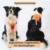 FidoFlex - Hundegeschirr mit integrierter Leine