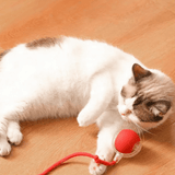 Pfotenblitz - Interaktiver Spielball der zum Jagen animiert