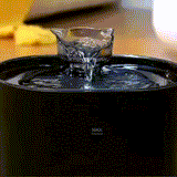 SPRINGS - Ultimativer Trinkbrunnen animiert zum Trinken und fördert die Gesundheit