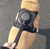 FidoFlex - Hundegeschirr mit integrierter Leine
