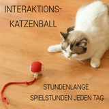 Pfotenblitz - Interaktiver Spielball der zum Jagen animiert