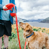 FlexiPaw - Die 4-in-1 Hundeleine für jeden Alltag