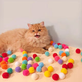 KATZOOKA - Der spaßige Katzenlauncher