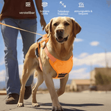 FidoFlex - Hundegeschirr mit integrierter Leine