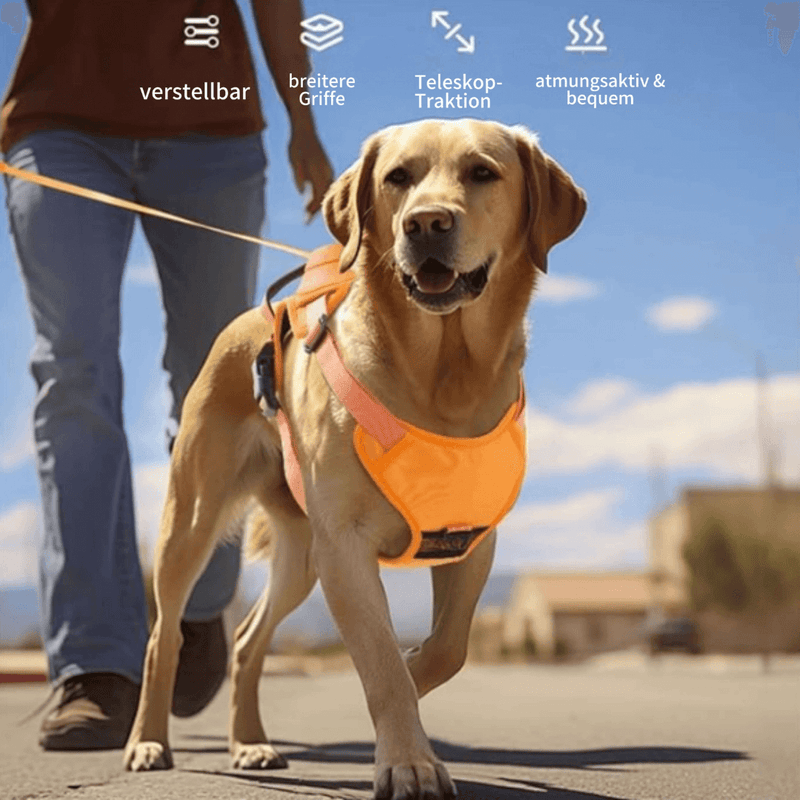 FidoFlex - Hundegeschirr mit integrierter Leine