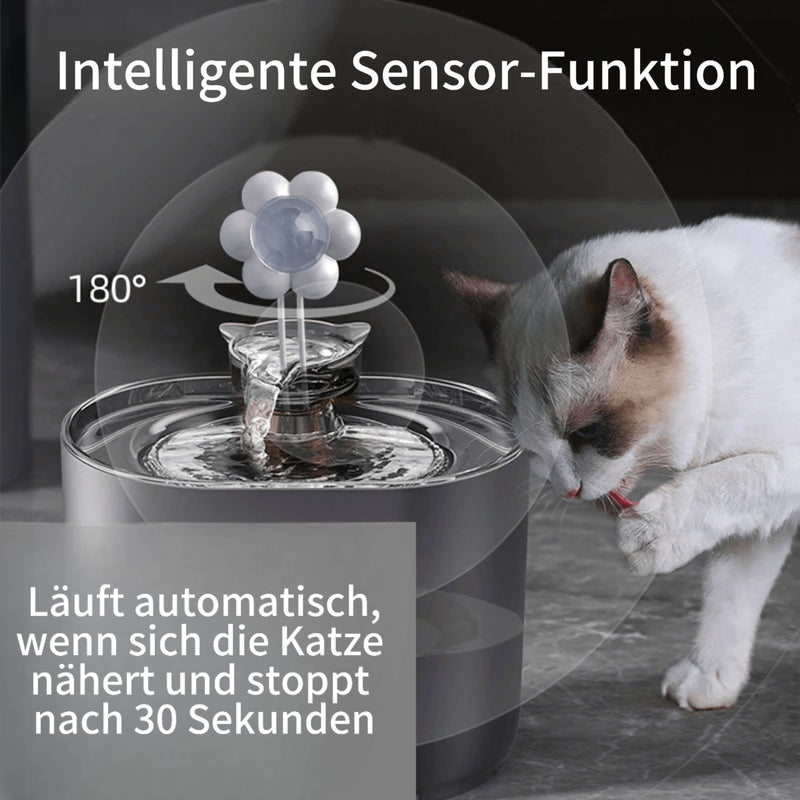 SPRINGS - Ultimativer Trinkbrunnen animiert zum Trinken und fördert die Gesundheit