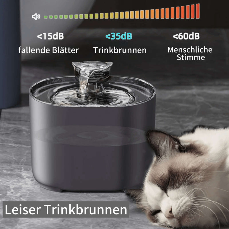 SPRINGS - Ultimativer Trinkbrunnen animiert zum Trinken und fördert die Gesundheit