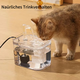 SPRINGS ECO - Ultimativer Trinkbrunnen animiert zum Trinken und fördert die Gesundheit