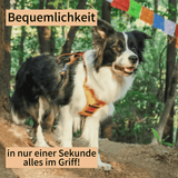 FidoFlex - Hundegeschirr mit integrierter Leine