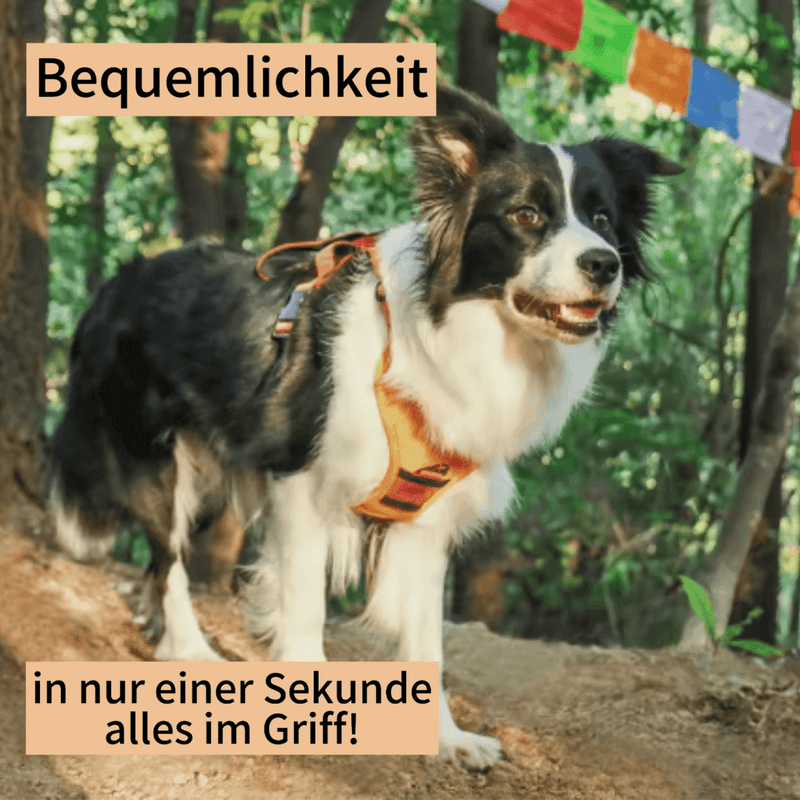FidoFlex - Hundegeschirr mit integrierter Leine