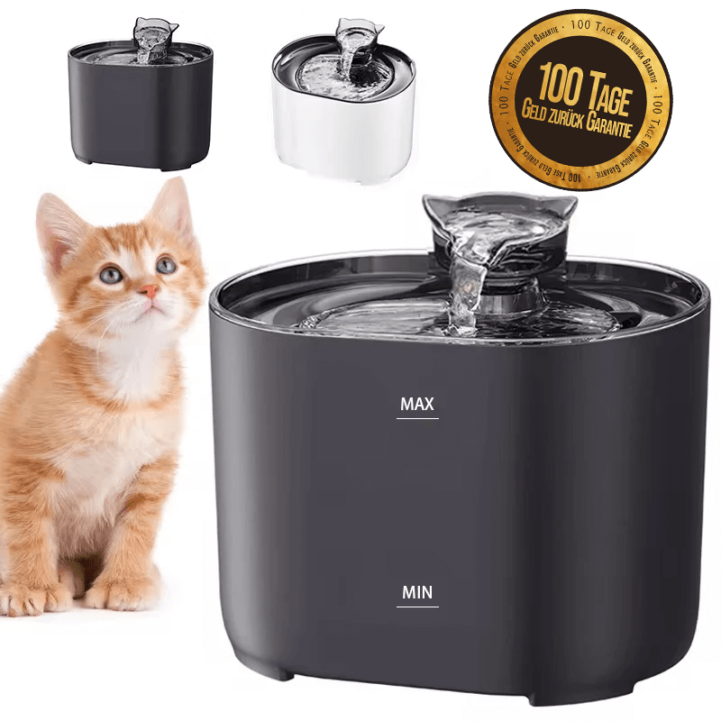 SPRINGS - Ultimativer Trinkbrunnen animiert zum Trinken und fördert die Gesundheit