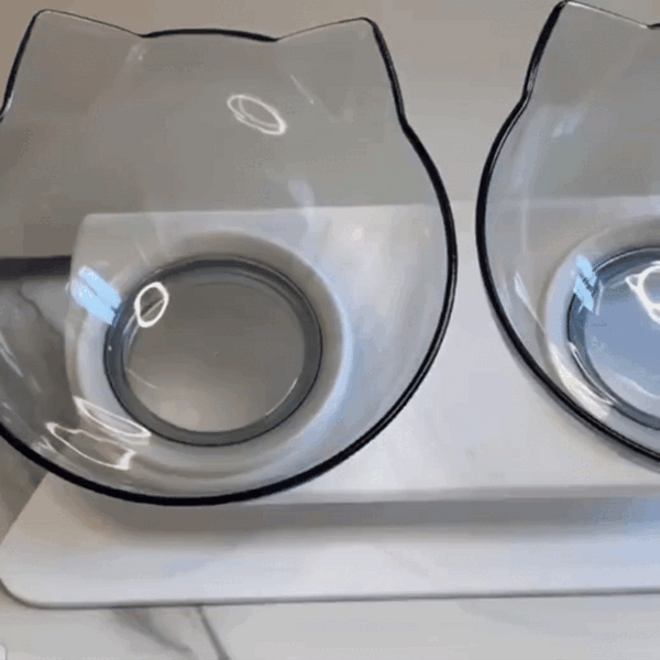 CatBowl - Ergonomischer Katzennapf für eine gesündere Körperhaltung